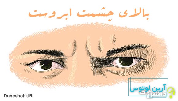 معنی بالای چشمت ابروست