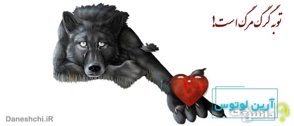 معنی ضرب المثل توبه گرگ مرگ است