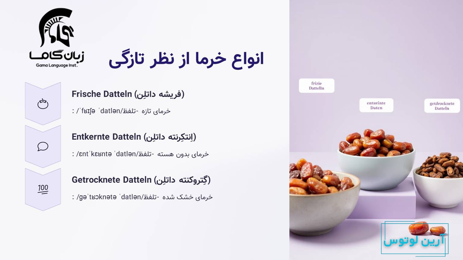 انوع خرما به آلمانی