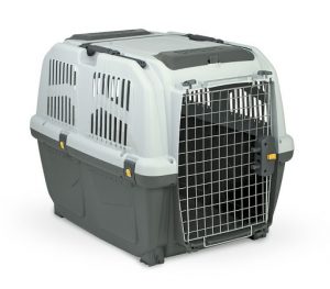 قفس یا باکس مناسب برای سگ