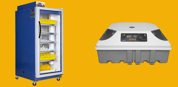 دستگاه جوجه کشی خانگی