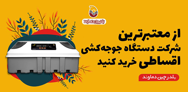 بهترین دستگاه جوجه کشی
