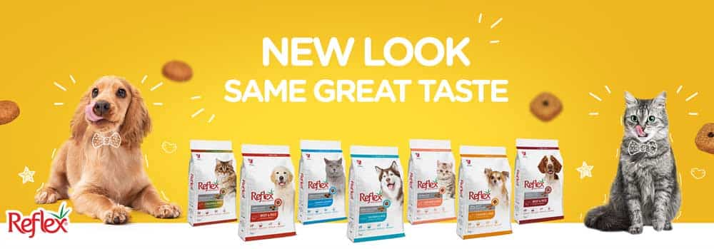 انواع غذای سگ و گربه رفلکس
