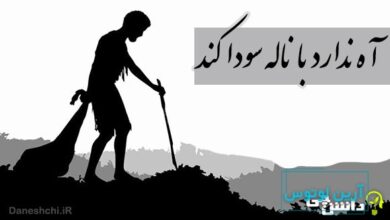 معنی آه ندارد با ناله سودا کند