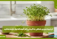 سبزی شاهی به آلمانی