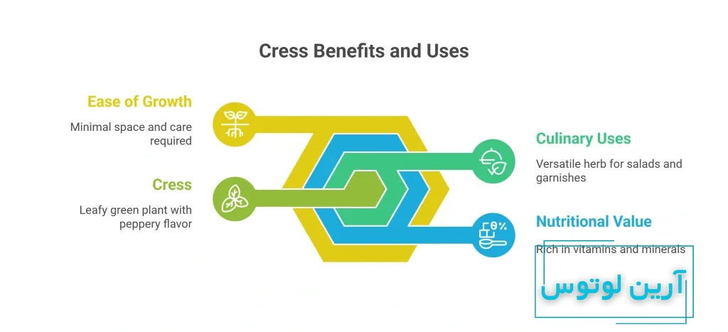 سبزی شاهی به آلمانی