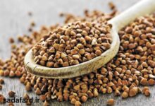 دانه باکویت چیست