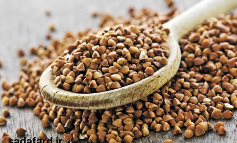 دانه باکویت چیست