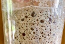 استارتر خمیرترش چیست ؟