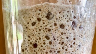 استارتر خمیرترش چیست ؟