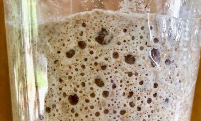 استارتر خمیرترش چیست ؟