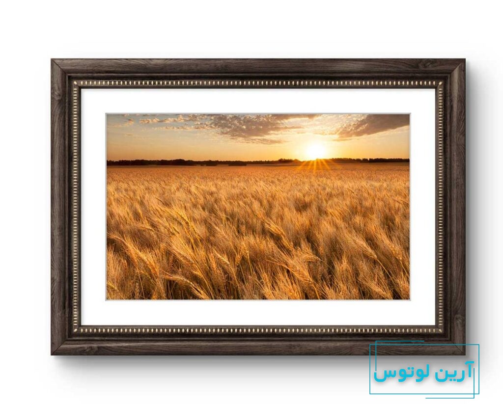 تابلو گندم زار در محل کار