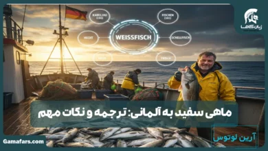 ماهی سفید به آلمانی