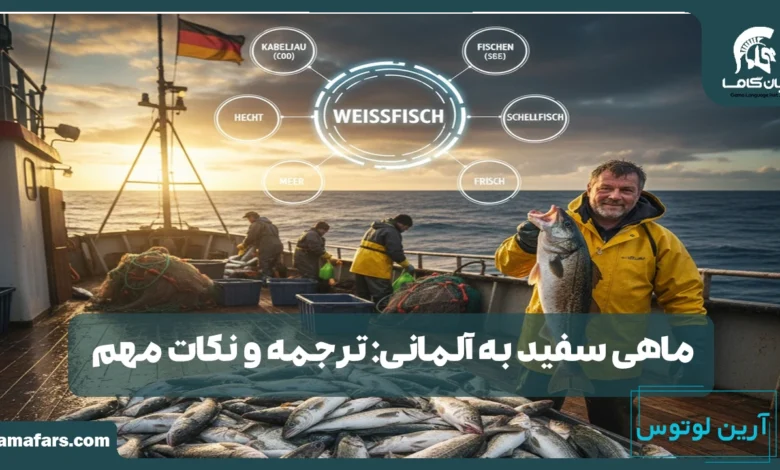 ماهی سفید به آلمانی