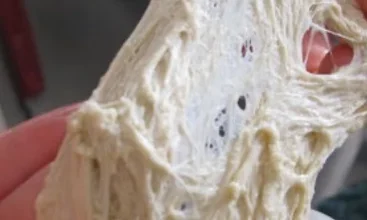 روش های تست گلوتن آرد