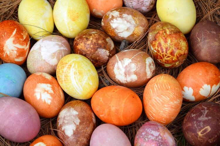 تخم مرغ رنگی 