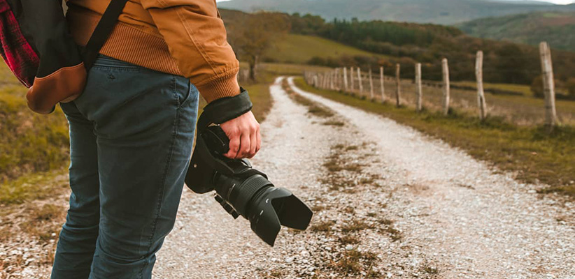 عکاسی حیاط وحش