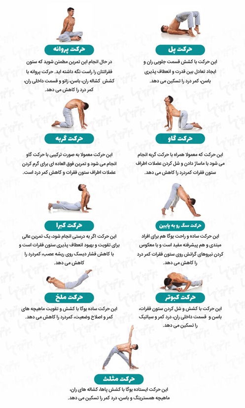 رایج ترین حرکات یوگا