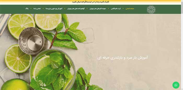 آکادمی ژینو