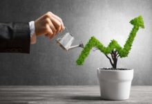 سرمایه گذاری