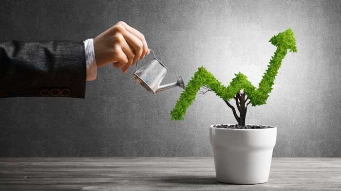 سرمایه گذاری