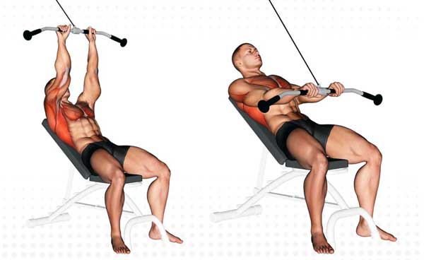 پلاور کابلی روی نیمکت شیب ‌دار