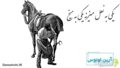 ضرب المثل یکی به نعل میزنه یکی به میخ