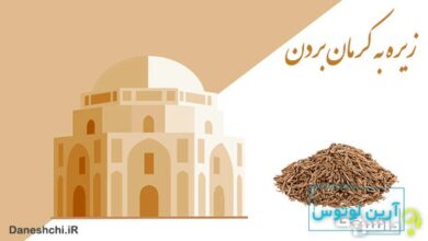 معنی زیره به کرمان بردن