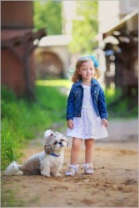 معرفی نژاد های برتر سگ