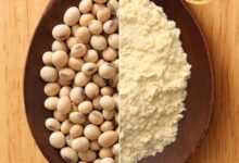آرد سویا به دست آمده از دانه های سویا
