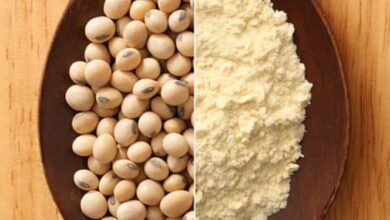 آرد سویا به دست آمده از دانه های سویا