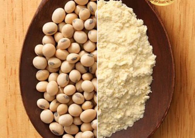 آرد سویا به دست آمده از دانه های سویا