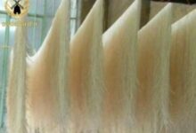 خرید عمده آرد مخصوص رشته آشی