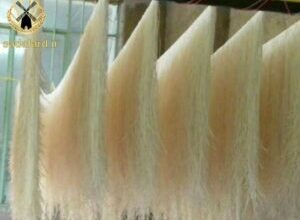 خرید عمده آرد مخصوص رشته آشی