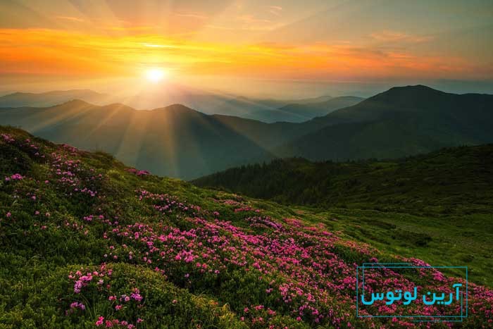 افزایش برکت و سحر خیزی