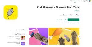 بازی برای گربه