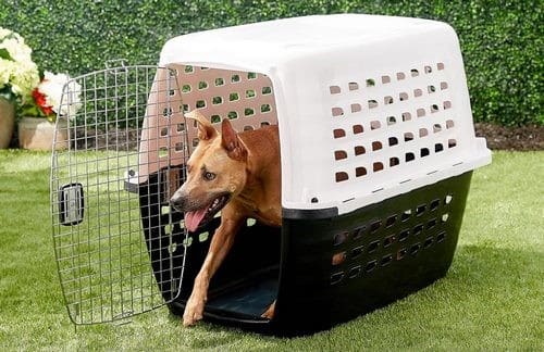 سگ در قفس در مسافرت زمینی