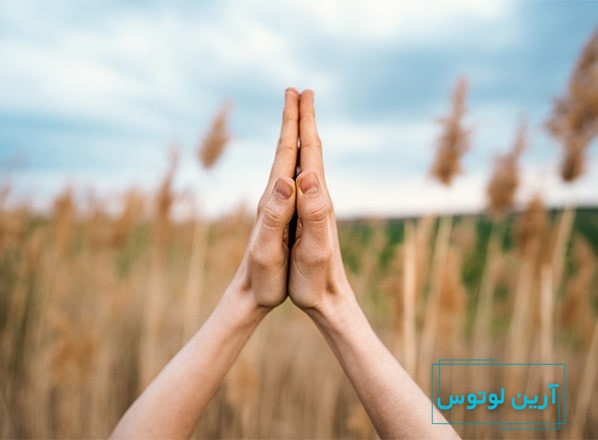 شکرگزاری و برکت