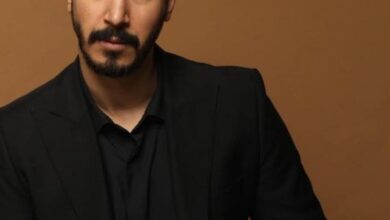 بهرام افشاری