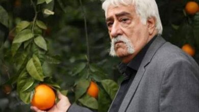 داریوش ارجمند