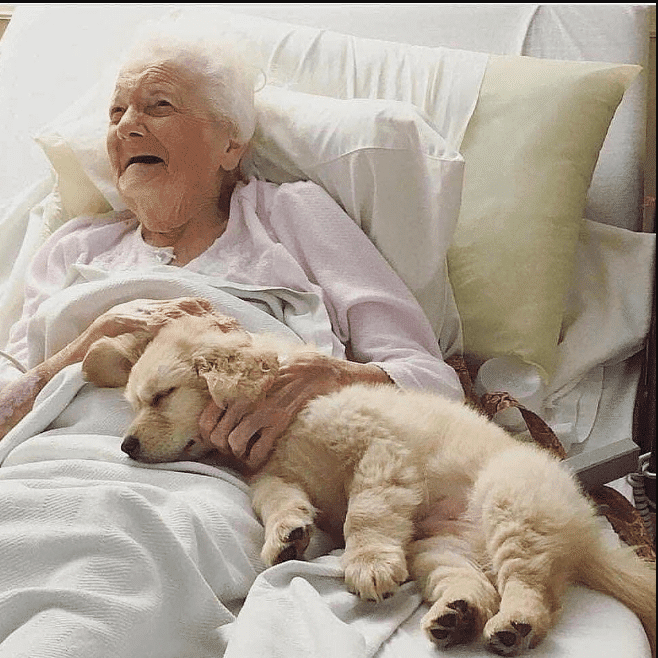 مزایای داشتن پت در خانه