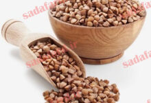 دانه باکویت