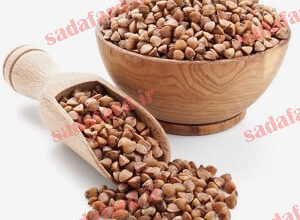 دانه باکویت