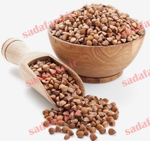 دانه باکویت