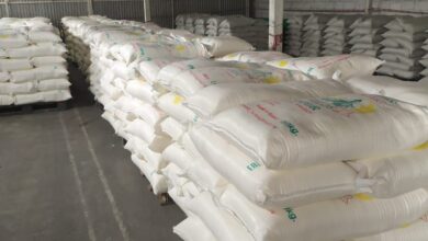 صادرات آرد به عراق