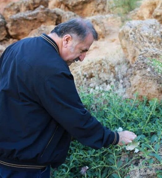 عکس زیبای مهران رجبی