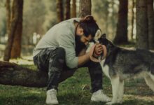 اگر این 15 نکته را نمیدانید سرپرستی یک سگ را نپذیرید!