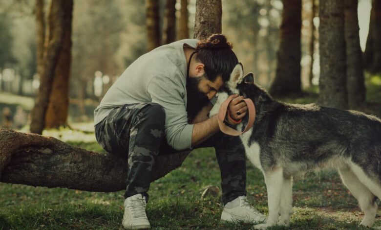 اگر این 15 نکته را نمیدانید سرپرستی یک سگ را نپذیرید!