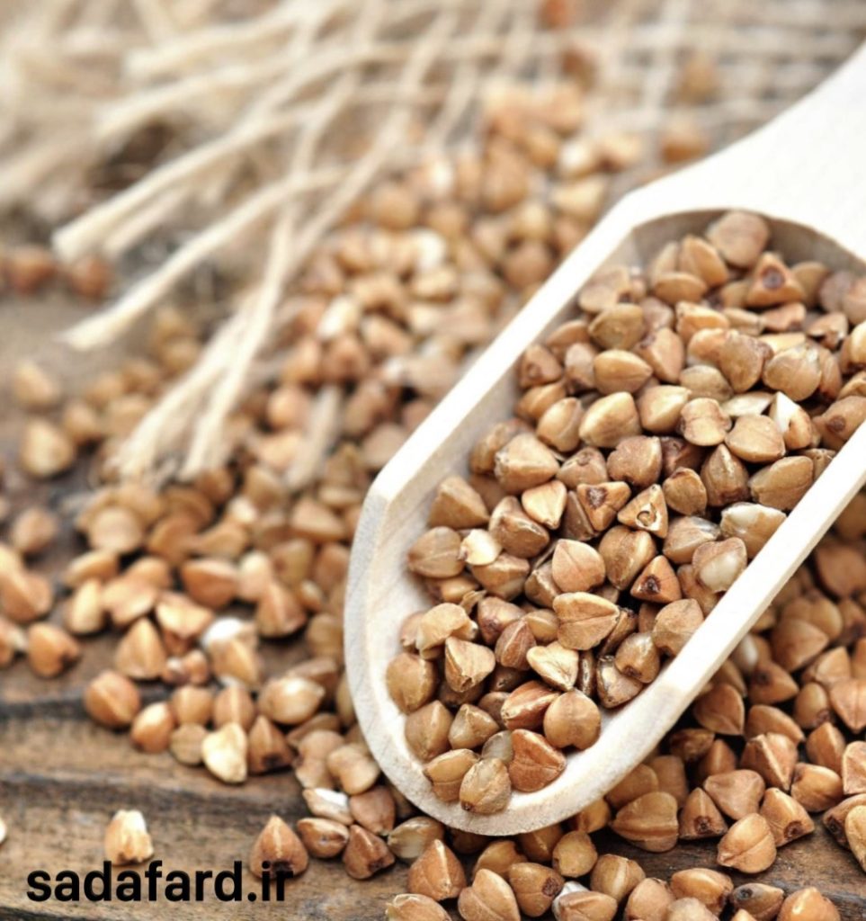 دانه باکویت، خواص، و کاربردهای آن