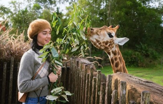 کیتی پری در باغ وحش